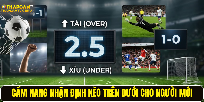 Cẩm nang nhận định kèo trên dưới cho người mới