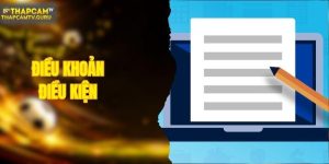 Điều Khoản Điều Kiện Và Chấp Nhận Thỏa Thuận Của ThapcamTV