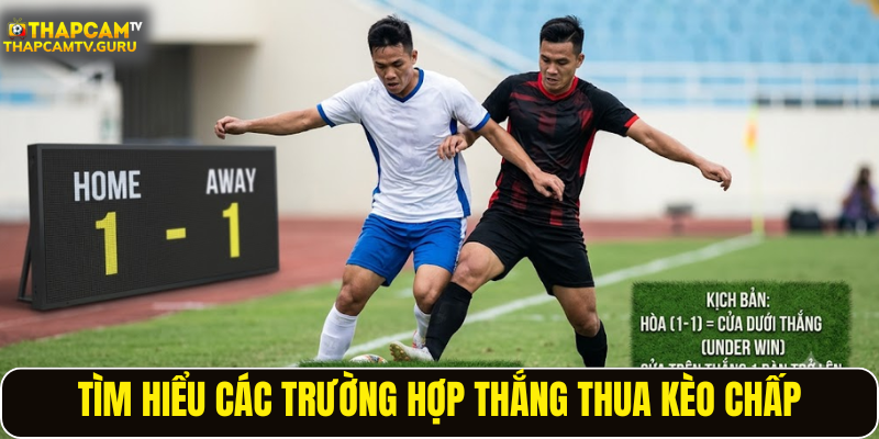 Tìm hiểu các trường hợp thắng thua kèo chấp